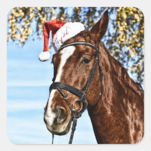 Christmas horse with hat quadratischer aufkleber