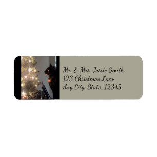 Christmas Joy Calico Cat Rücksendeadressen-Aufkleb