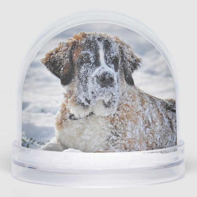 Christmas, Keepsake, or Memorial Custom Pet Photo  (Avant)