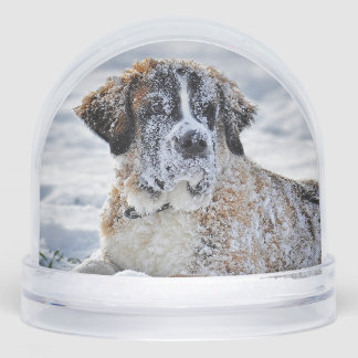 Christmas, Keepsake, or Memorial Custom Pet Photo  Schneekugeln