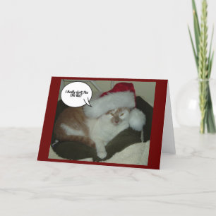 Christmas Kitty Cat Tabby Feiertagskarte