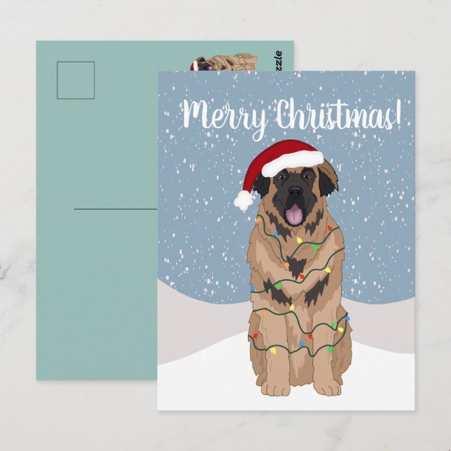 Christmas Leonberger Postkarte (Vorne/Hinten)