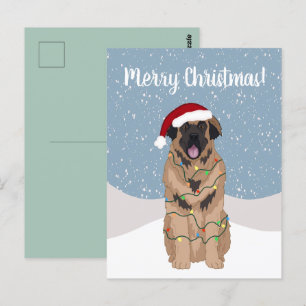 Christmas Leonberger Postkarte