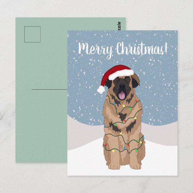 Christmas Leonberger Postkarte (Vorne/Hinten)