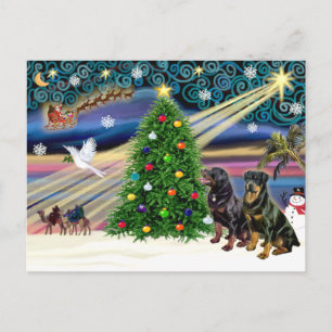 Christmas Magic Rottweiler (zwei) Feiertagspostkarte