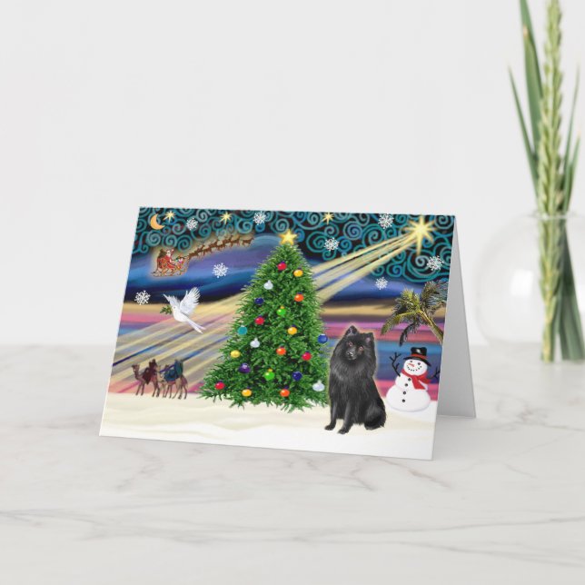 Christmas Magic Schipperke Feiertagskarte (Vorderseite)