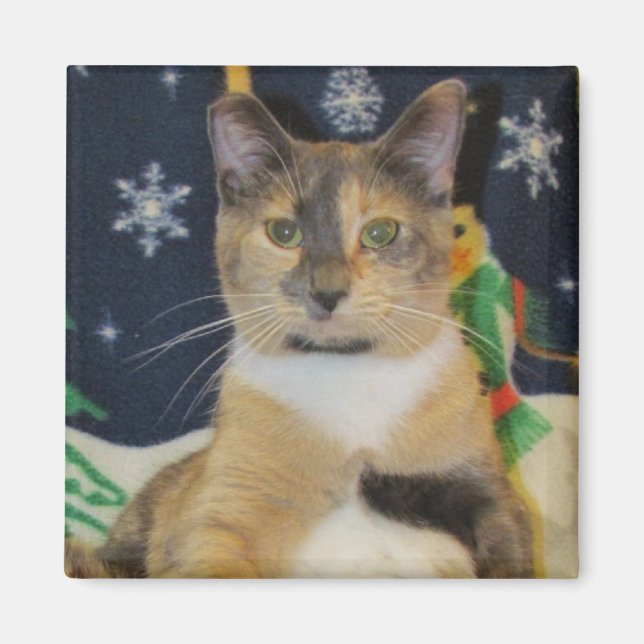 Christmas Magnet - Cat / Kitten (Vorne)