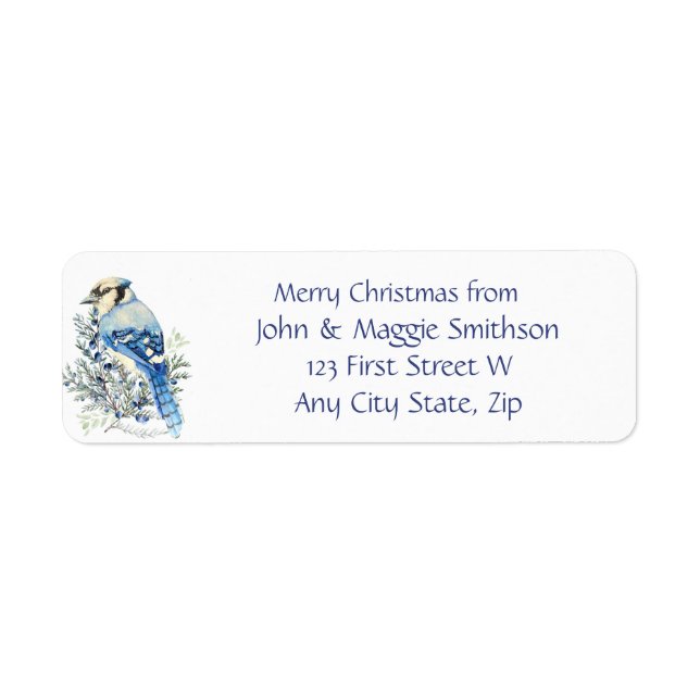 Christmas Message Blue Jay Bird Wildlife Art (Vorne)