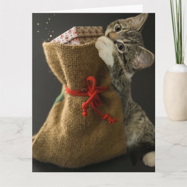 CHRISTMAS NIEDLICHE CAT-ÜBERRASCHUNGEN Grußkarte Karte (Vorderseite)