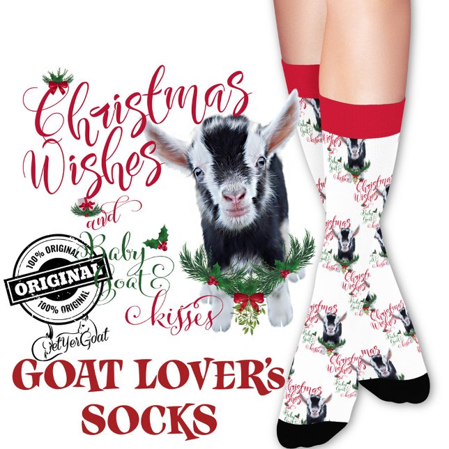 Christmas Nigerian Zwarf Baby Goat wünscht Socken (Von Creator hochgeladen)