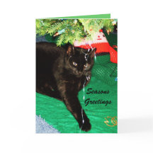 CHRISTMAS NOIR Carte CAT