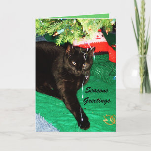 CHRISTMAS NOIR Carte CAT