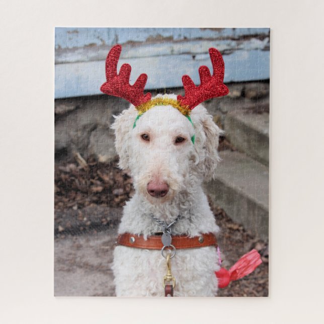 Christmas Ollie (Vertikal)