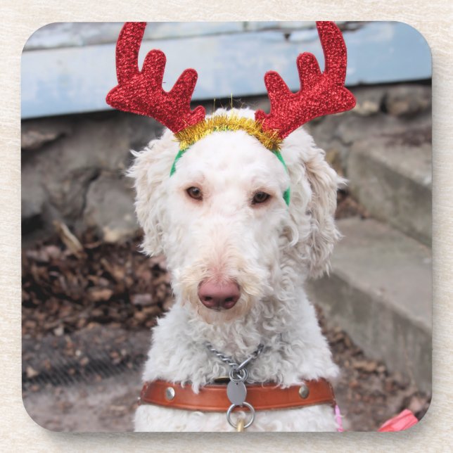Christmas Ollie Getränkeuntersetzer (Vorderseite)