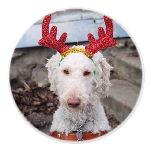 Christmas Ollie Keramikknauf (Vorderseite)