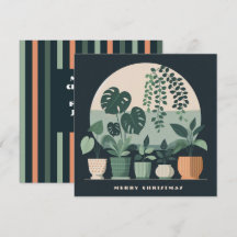 Christmas Orange Green Potted Pflanze