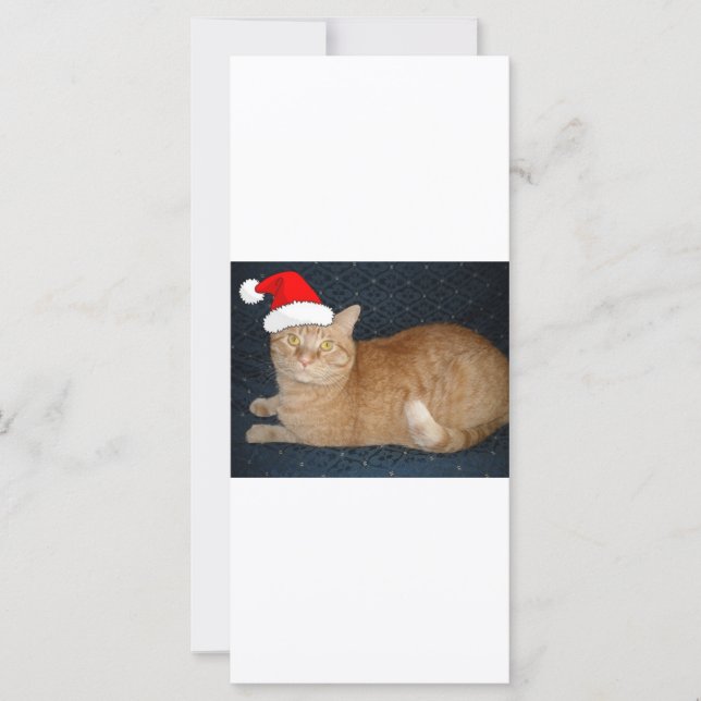 Christmas Orange Tabby Cat (Vorderseite)