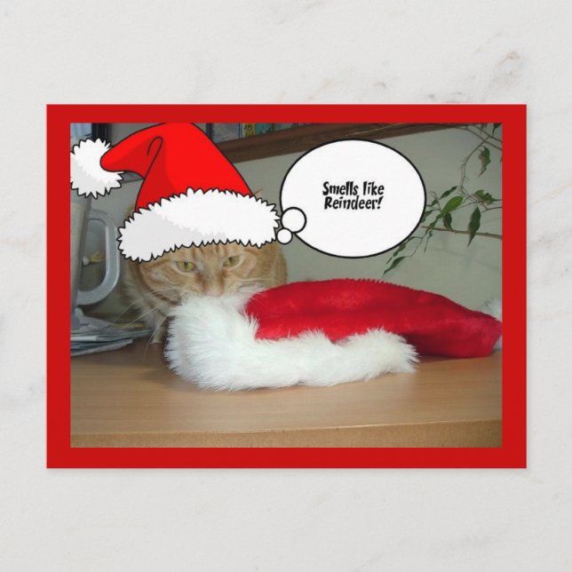 Christmas Orange Tabby Cat Feiertagspostkarte (Vorderseite)