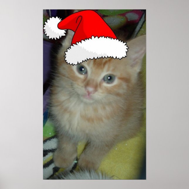 Christmas Orange Tabby Kitten Poster (Vorne)