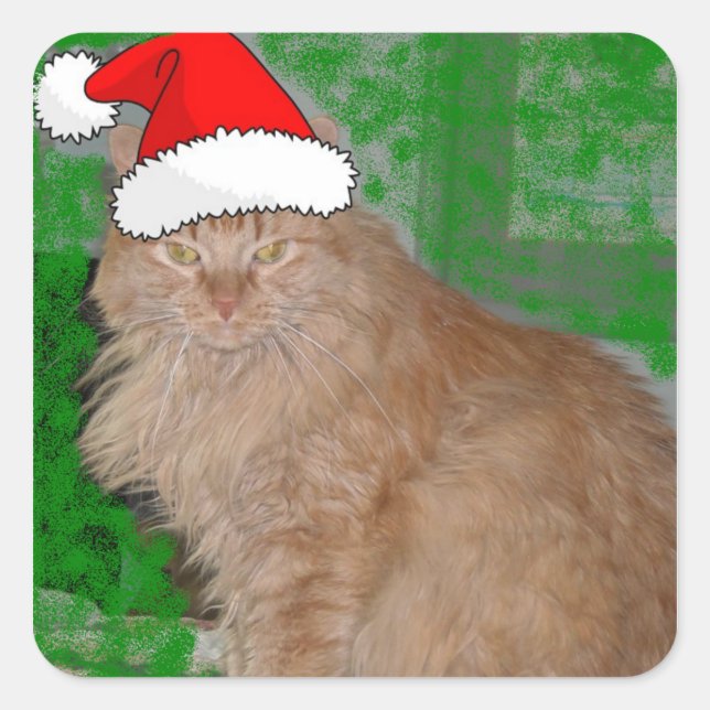 Christmas Orange Tabby Kitten Quadratischer Aufkleber (Vorderseite)