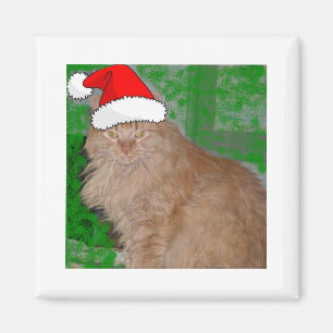 Christmas Orange Tabby Kitty Cat Magnet