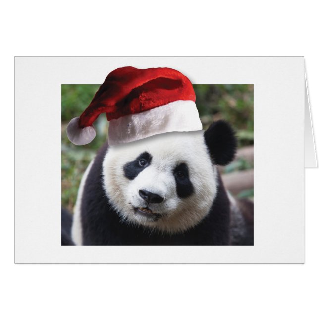 Christmas Panda Bear (Vorderseite (Horizontal))