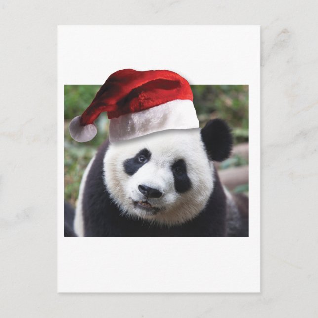 Christmas Panda Bear Feiertagspostkarte (Vorderseite)
