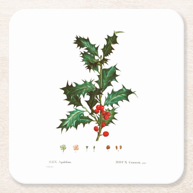 CHRISTMAS PAPIER UNTERSETZER: HOLLY: REDOUTÉ RECHTECKIGER PAPPUNTERSETZER (Vorderseite)