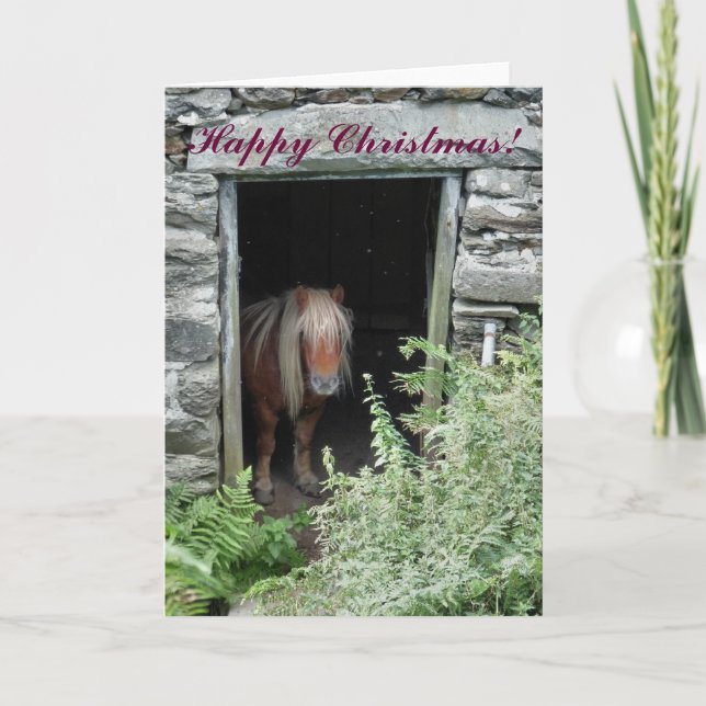CHRISTMAS PFERDE UND PONIEN FEIERTAGSKARTE (Vorderseite)