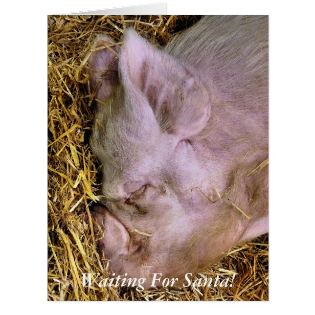 CHRISTMAS PIG CARD (Vorderseite)