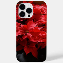 Christmas Poinsettias Red