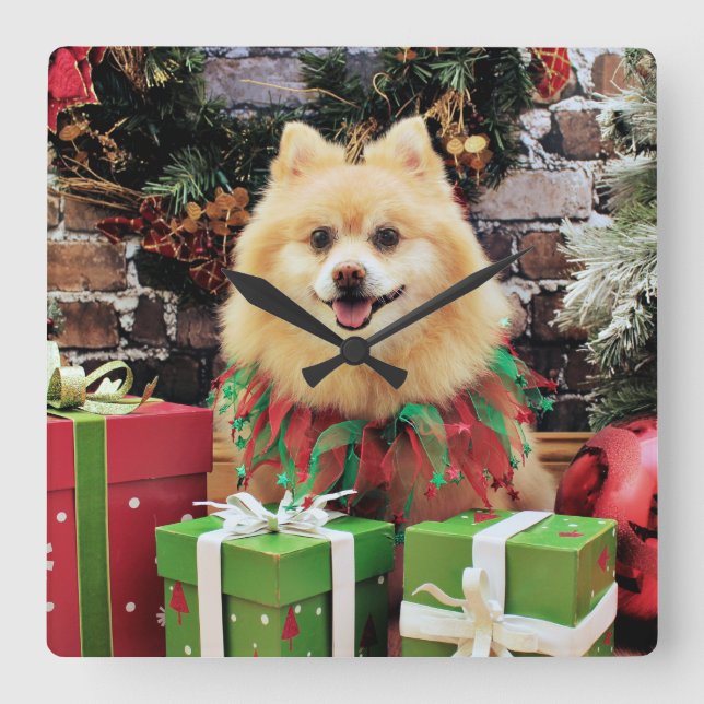 Christmas - Pomeranian - Sammy Quadratische Wanduhr (Vorderseite)