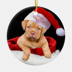 Christmas Puppy Keramik Ornament