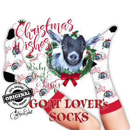 Christmas Pygmy Baby Goat wünscht Socken