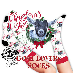 Christmas Pygmy Baby Goat wünscht Socken