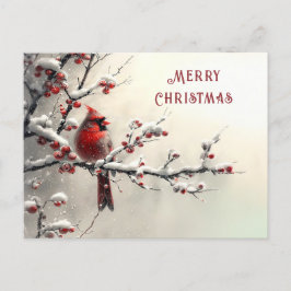 Christmas Red Cardinal Holiday Postkarte