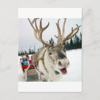 Christmas Reindeer Feiertagspostkarte
