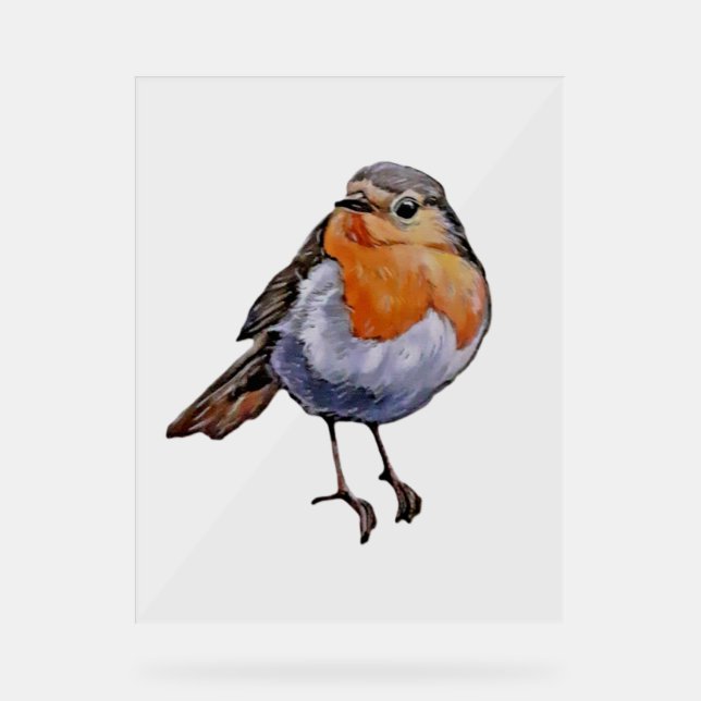 CHRISTMAS ROBIN Akryllischer Sign ART DESIGN STIL Acrylschild (Vorderseite)