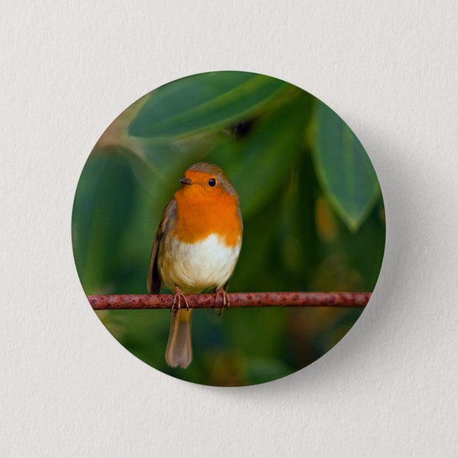 Christmas Robin Button (Vorderseite)