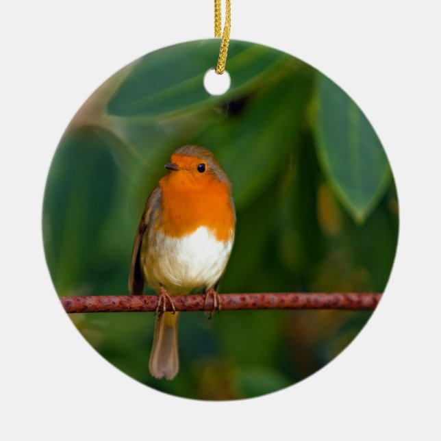Christmas Robin Keramik Ornament (Vorne)