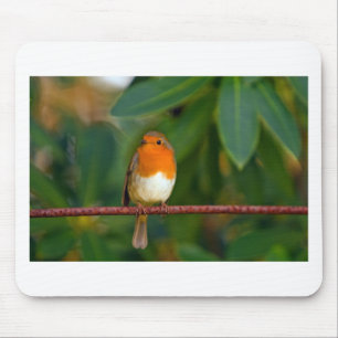 Christmas Robin Mousepad