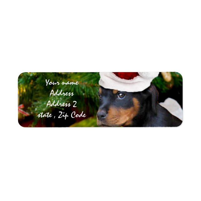 Christmas Rottweiler (Vorne)