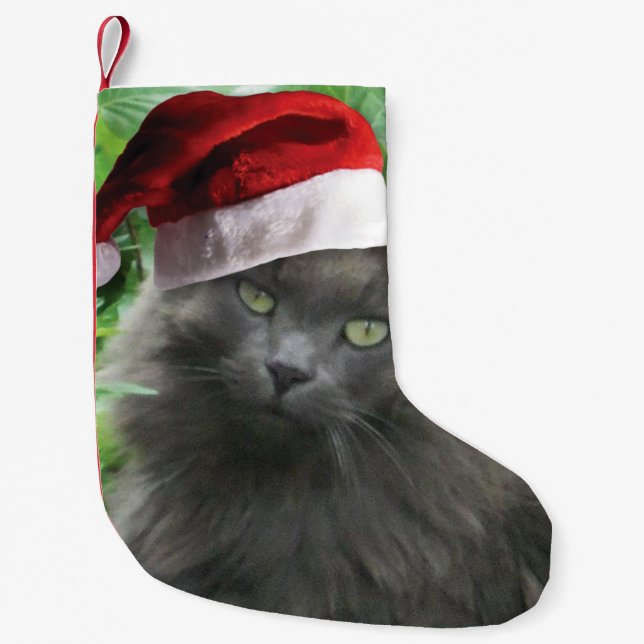Christmas Russian Blue Cat Kleiner Weihnachtsstrumpf (Vorderseite)