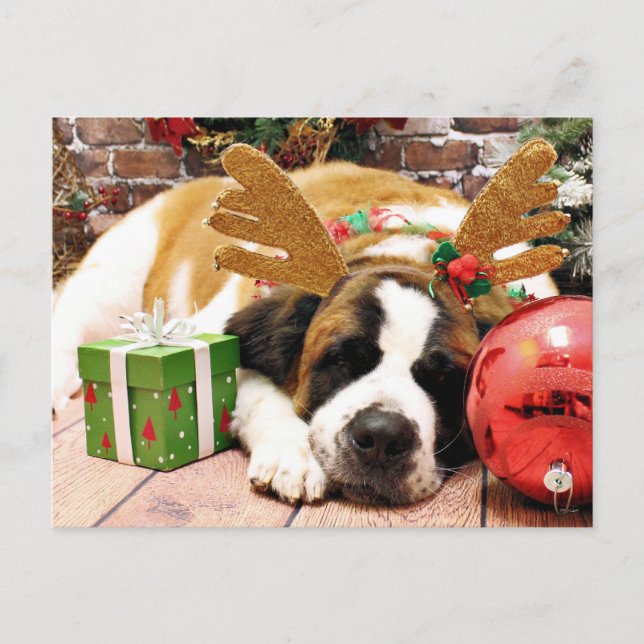 Christmas - Saint Bernard - Blue Feiertagspostkarte (Vorderseite)