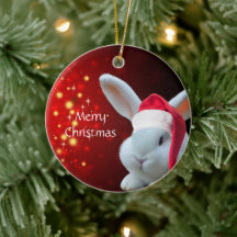 Christmas Santa Bunny