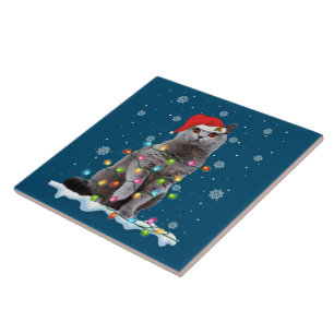 Christmas Santa Cat British Shorthair Cat Lover Fliese