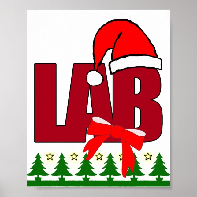 CHRISTMAS SANTA LABORATORY POSTER (Vorne)