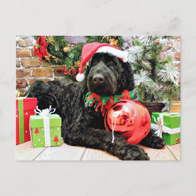 Christmas - Schnoodle - Zeus Feiertagspostkarte (Vorderseite)