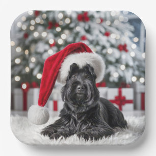 Christmas Scottish Terrier On a White Rug Pappteller