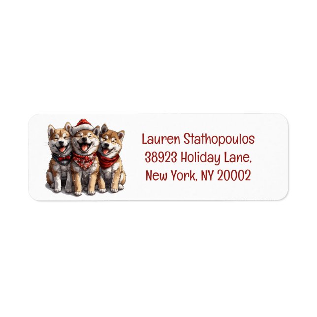 Christmas Shiba Inu Santa Dogs (Vorne)
